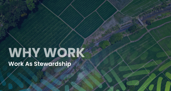 Why Work Article 4 Thumbnail Work As Stewardship